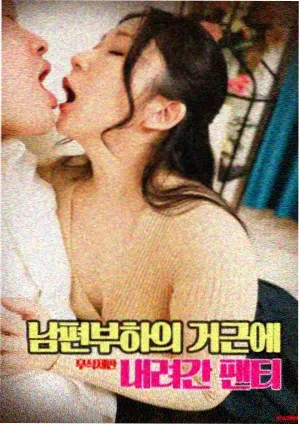 灵魂伴侣·书页间的默契